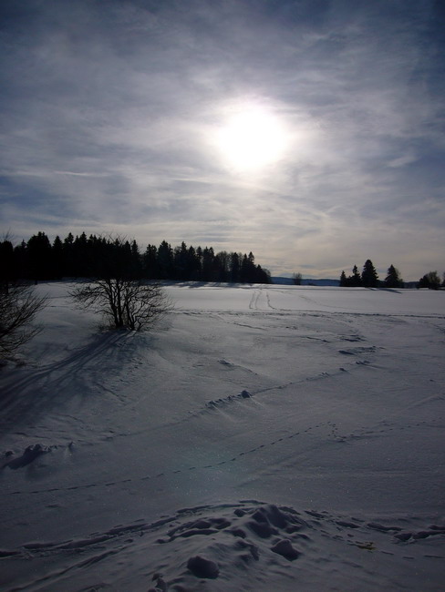 Jura-Bilder...
