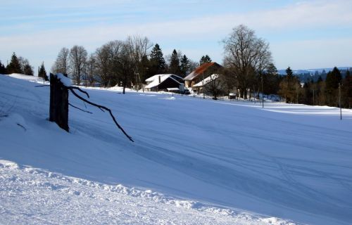 16. Januar 2009
