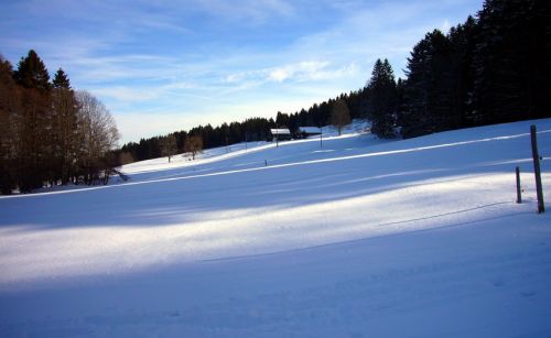 16. Januar 2009
