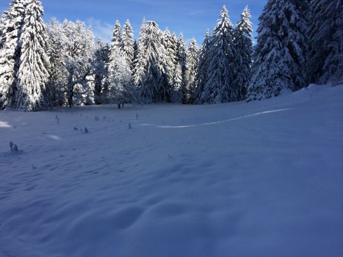 Les Breuleux, 18. Januar 2015
