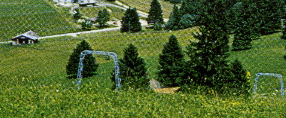 Detail aus dem obigen Bild
