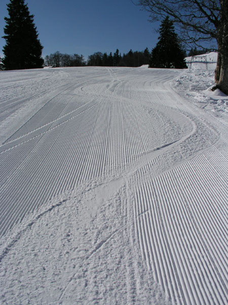 Orvin, März 2005
