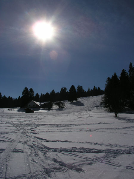 Orvin, März 2005
