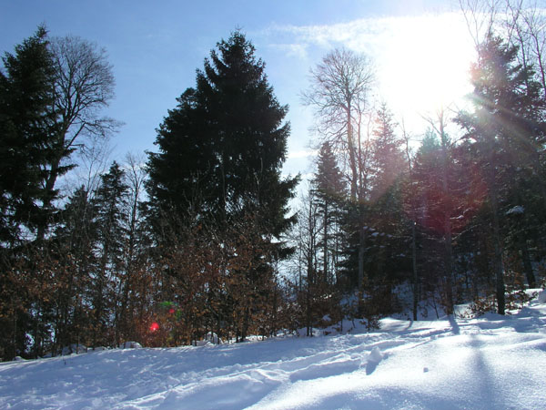Orvin, März 2005
