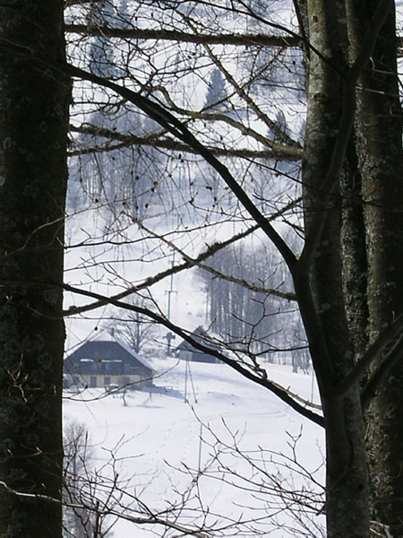 Fahrt Orvin-Balmberg, März 2005
