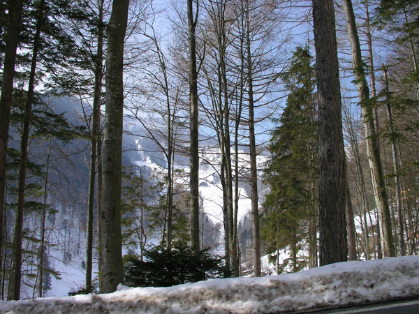 Fahrt Orvin-Balmberg, März 2005
