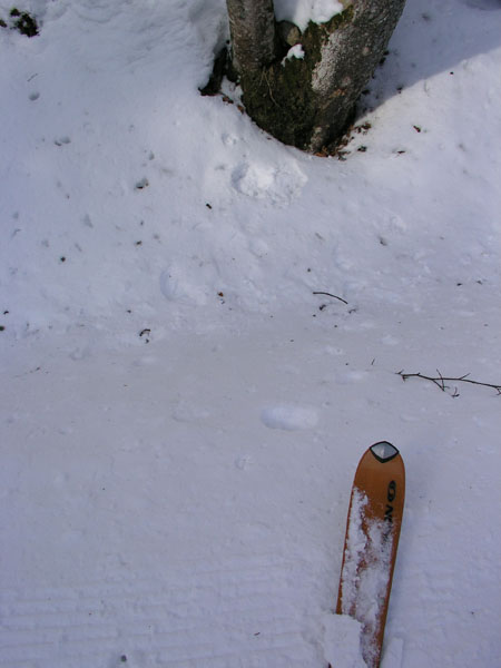 Balmberg, März 2005
