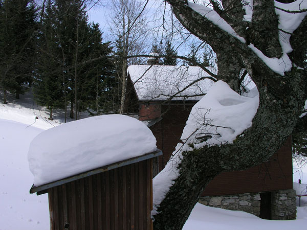 Balmberg, März 2005
