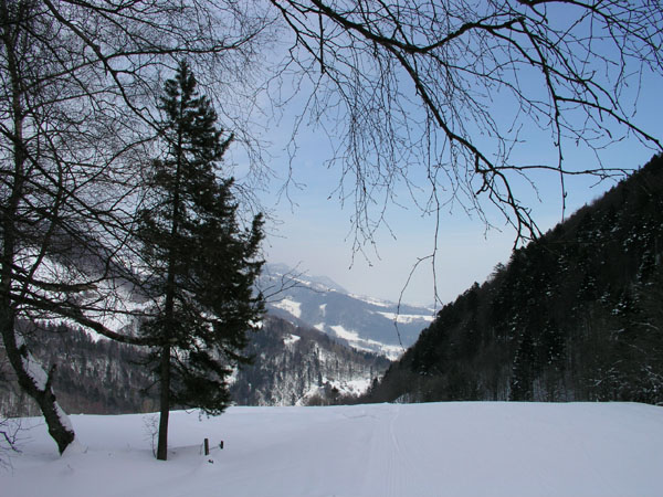 Balmberg, März 2005
