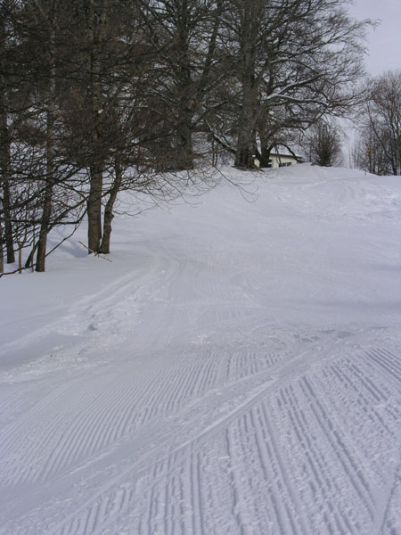 Balmberg, März 2005
