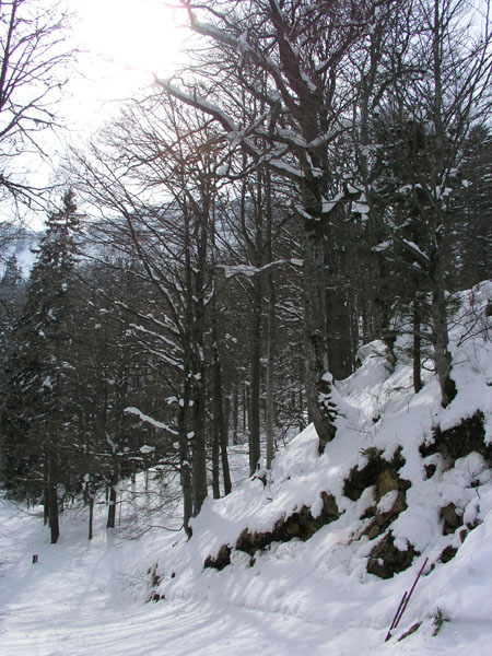 Balmberg, März 2005
