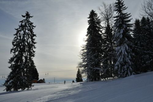 4. Februar 2010
