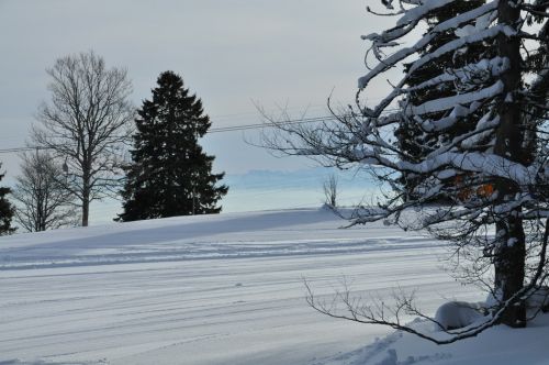 4. Februar 2010
