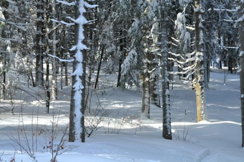 4. Februar 2010
