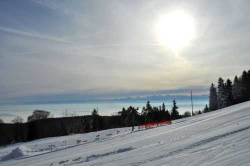 4. Februar 2010
