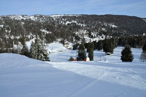 4. Februar 2010
