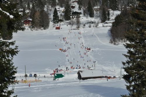 4. Februar 2010
