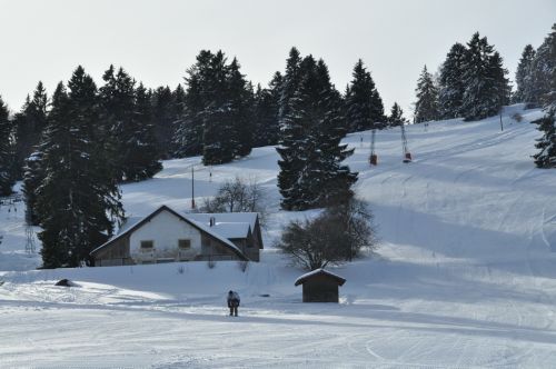 4. Februar 2010
