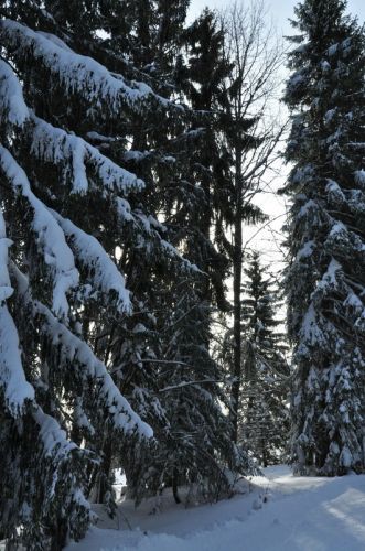 4. Februar 2010

