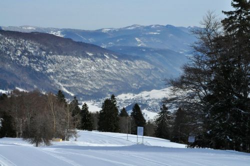 4. Februar 2010
