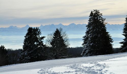 4. Februar 2010
