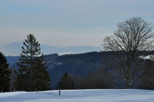 4. Februar 2010

