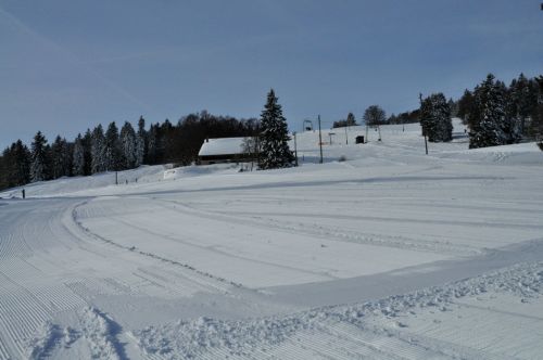 4. Februar 2010
