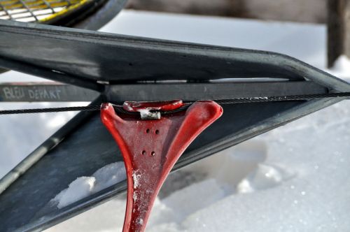 4. Februar 2010
