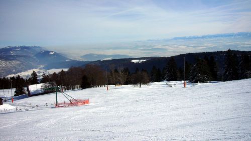 4. Februar 2010
