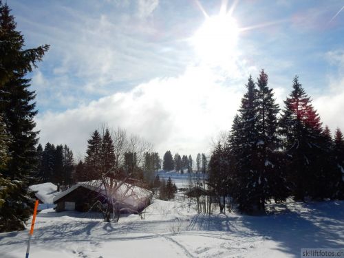20190204-stecroix-lesrasses-022.jpg