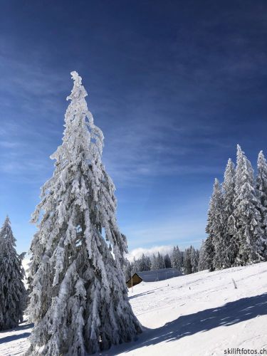 20190204-stecroix-lesrasses-031.jpg