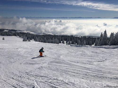 20190204-stecroix-lesrasses-045.jpg