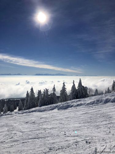 20190204-stecroix-lesrasses-047.jpg