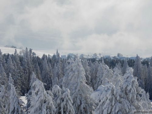 20190204-stecroix-lesrasses-048.jpg
