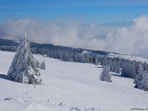 20190204-stecroix-lesrasses-050.jpg