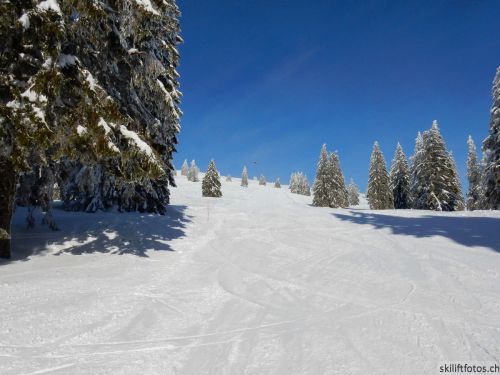 20190204-stecroix-lesrasses-054.jpg