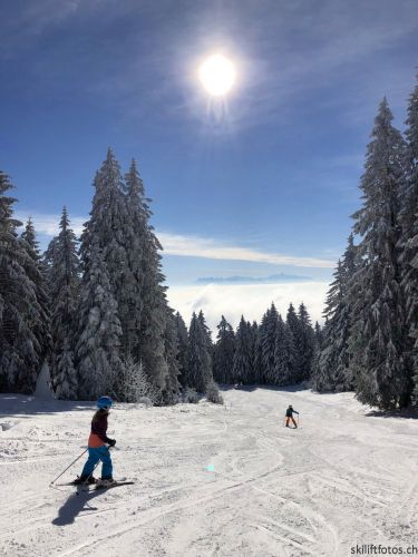 20190204-stecroix-lesrasses-055.jpg