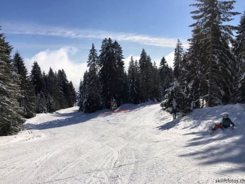 20190204-stecroix-lesrasses-059.jpg