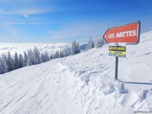 20190204-stecroix-lesrasses-061.jpg