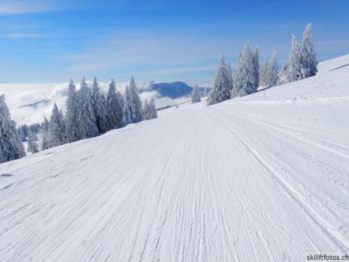 20190204-stecroix-lesrasses-063.jpg