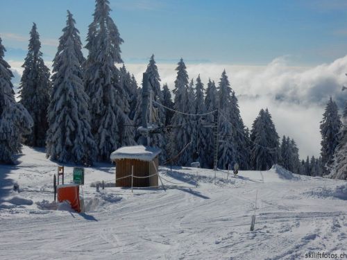 20190204-stecroix-lesrasses-069.jpg