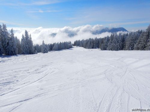 20190204-stecroix-lesrasses-072.jpg