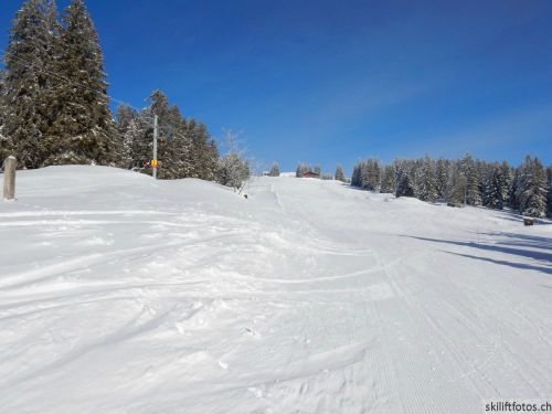 20190204-stecroix-lesrasses-075.jpg