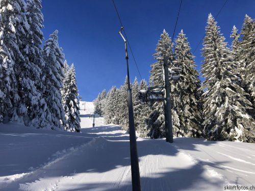 20190204-stecroix-lesrasses-080.jpg