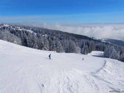 20190204-stecroix-lesrasses-097.jpg