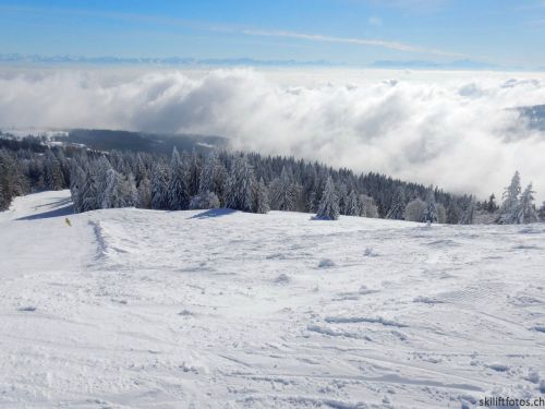 20190204-stecroix-lesrasses-099.jpg
