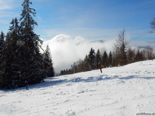 20190204-stecroix-lesrasses-105.jpg