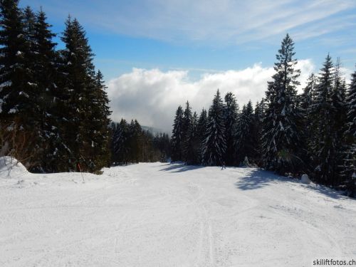 20190204-stecroix-lesrasses-107.jpg