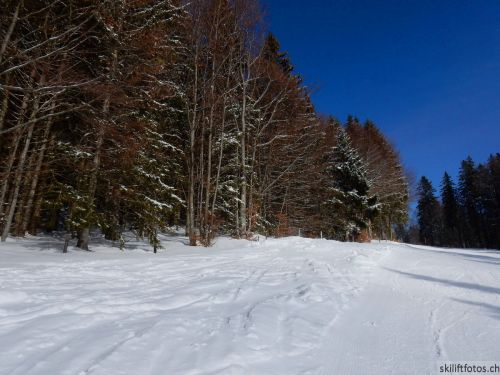 20190204-stecroix-lesrasses-109.jpg