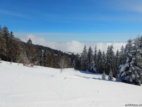 20190204-stecroix-lesrasses-123.jpg